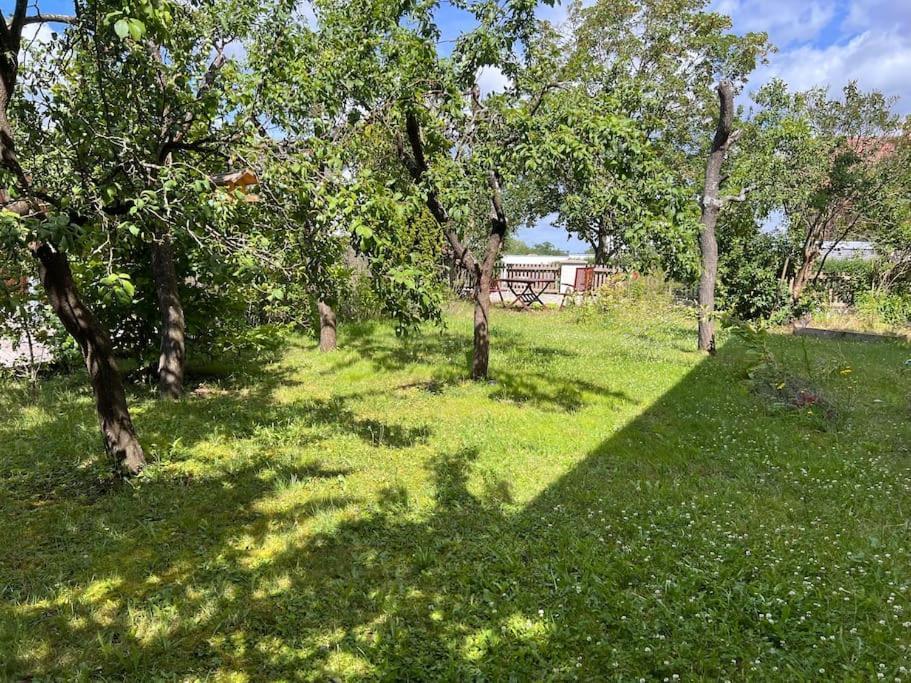 Wunderschoene Wohnung In Perfekter Lage Hilpoltstein Ngoại thất bức ảnh